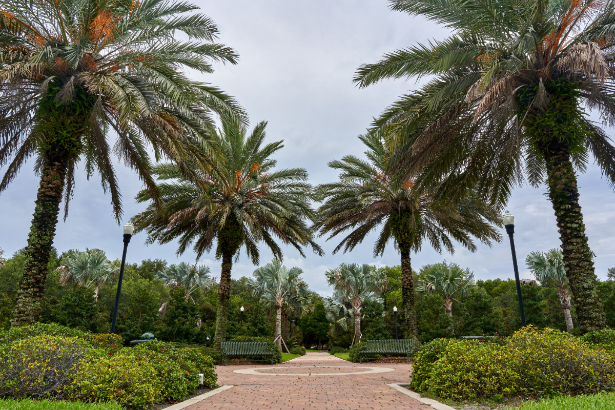 Largo Central Park FL 1200X800